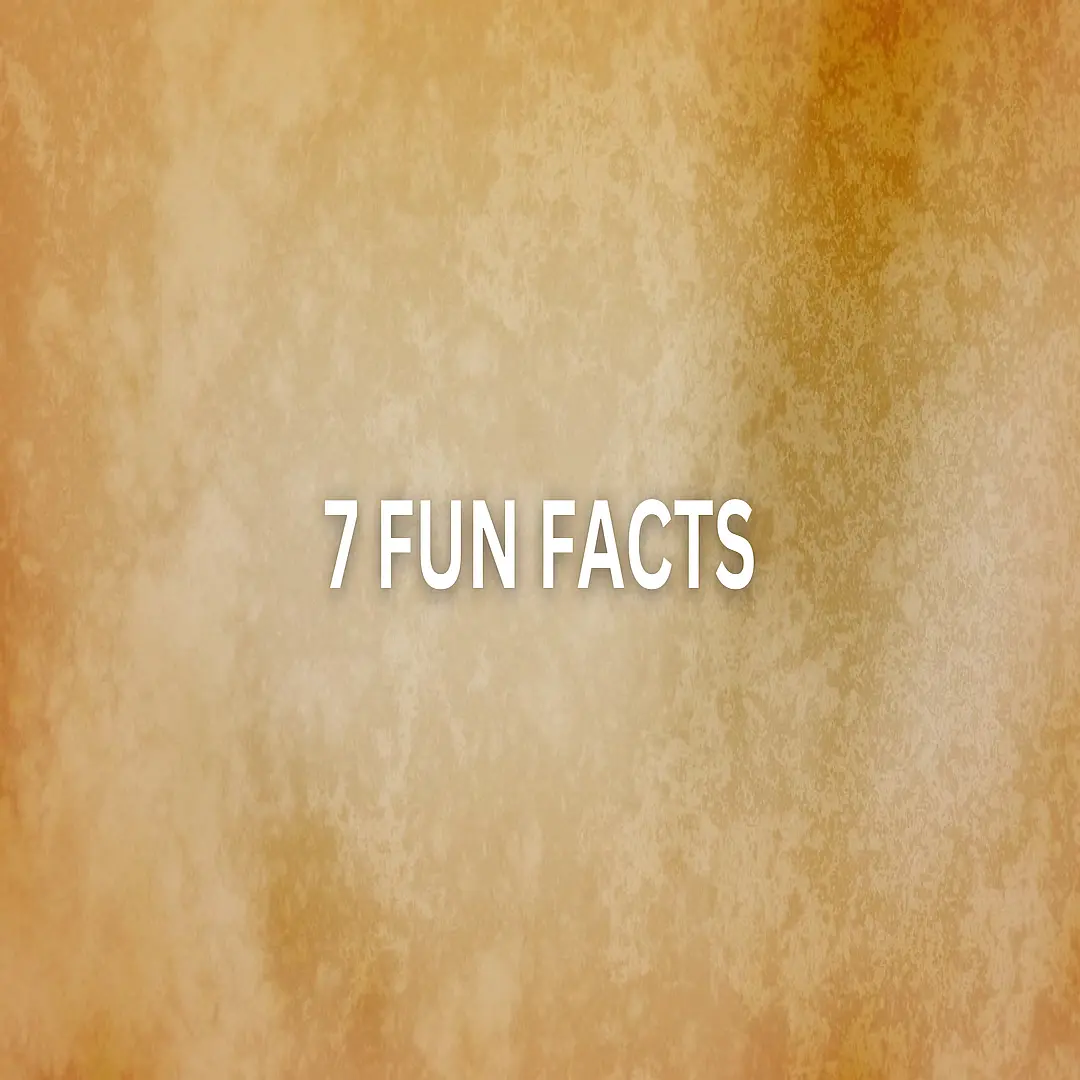 7 Fun Facts About Rena Aliston